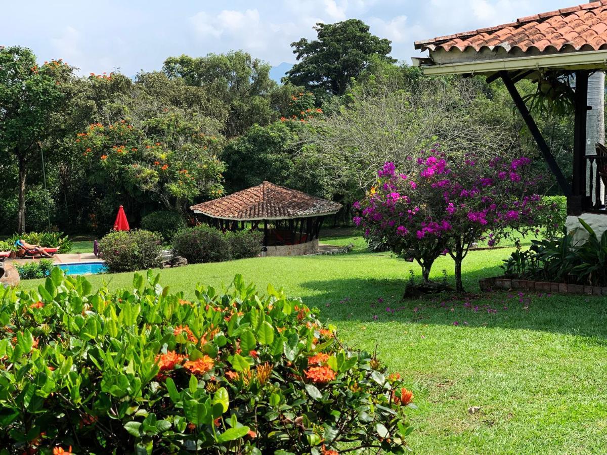 Calusa * Villeta