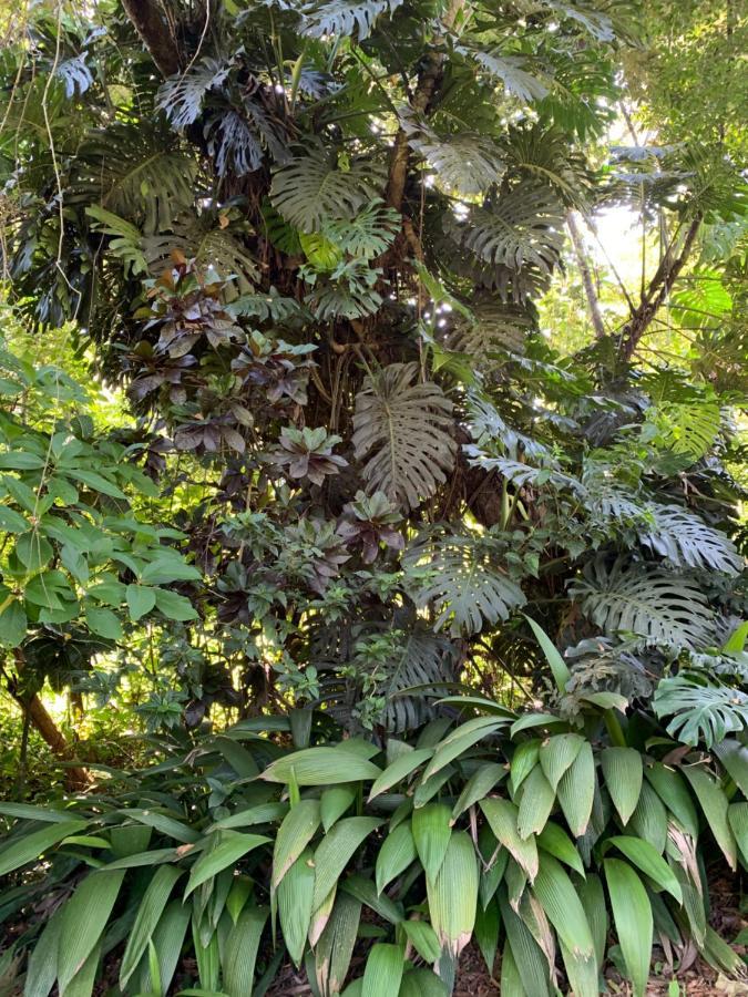 Calusa Landhaus